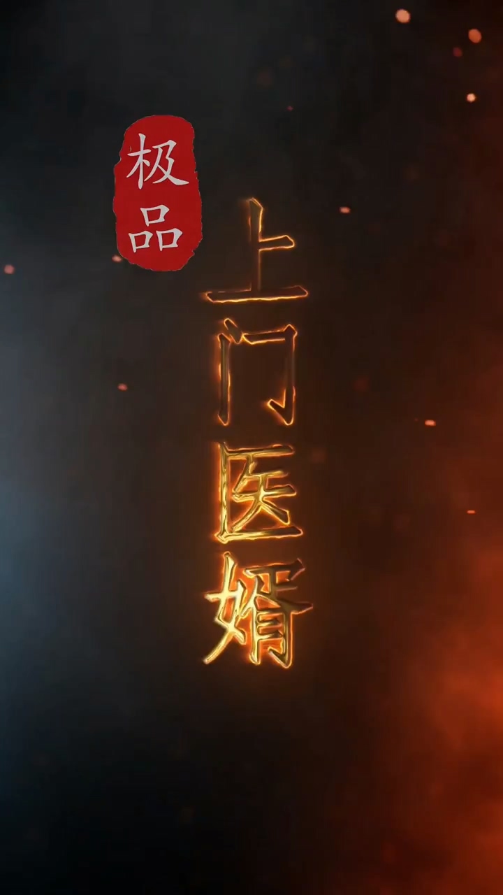 極品上門(mén)醫(yī)婿(全集)