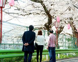 愛(ài)欲情話：激情小夜曲