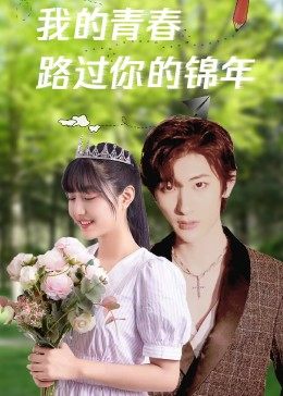 我的青春路過你的錦年(全集)