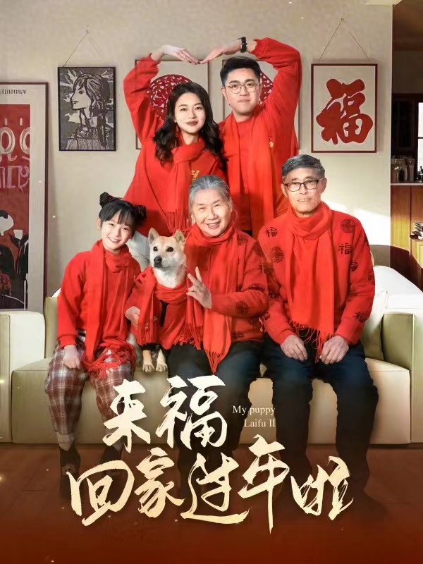 來?；丶疫^年啦