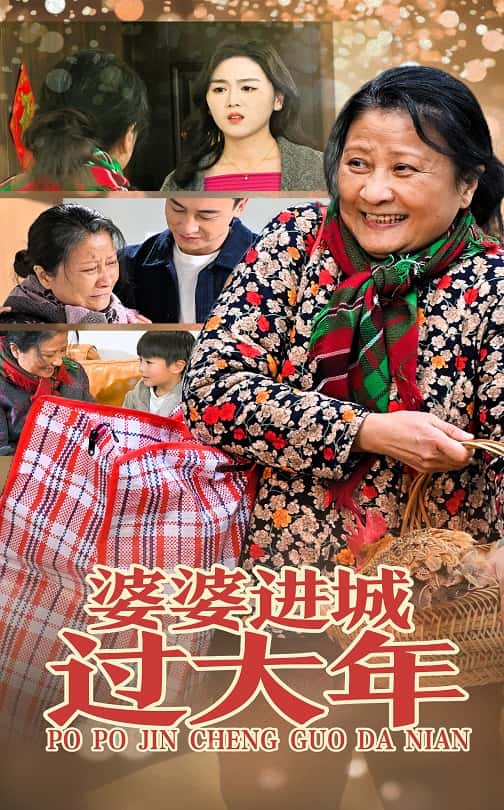 婆婆進(jìn)城過(guò)大年