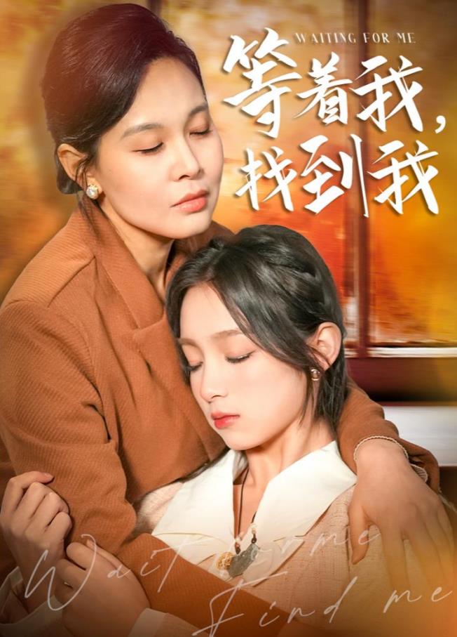 等著我，找到我(全集)