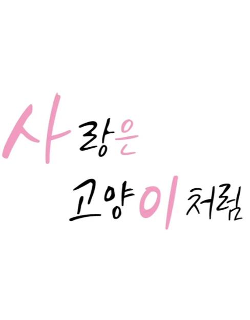 愛像一只喵(全集)