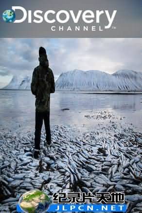 冰海捕鯡大戰(zhàn)(全集)