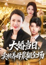 大婚當日，賣桃養(yǎng)母震翻全場(全集)