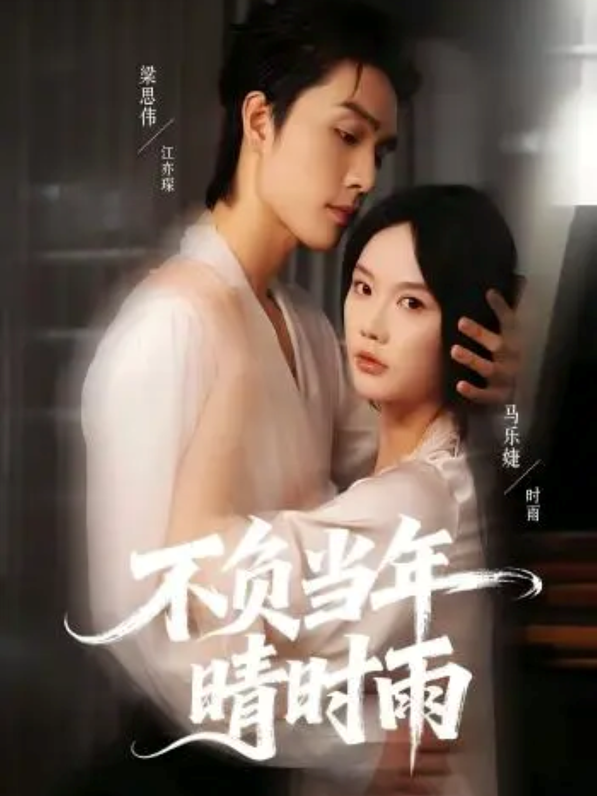 不負(fù)當(dāng)年晴時雨(全集)