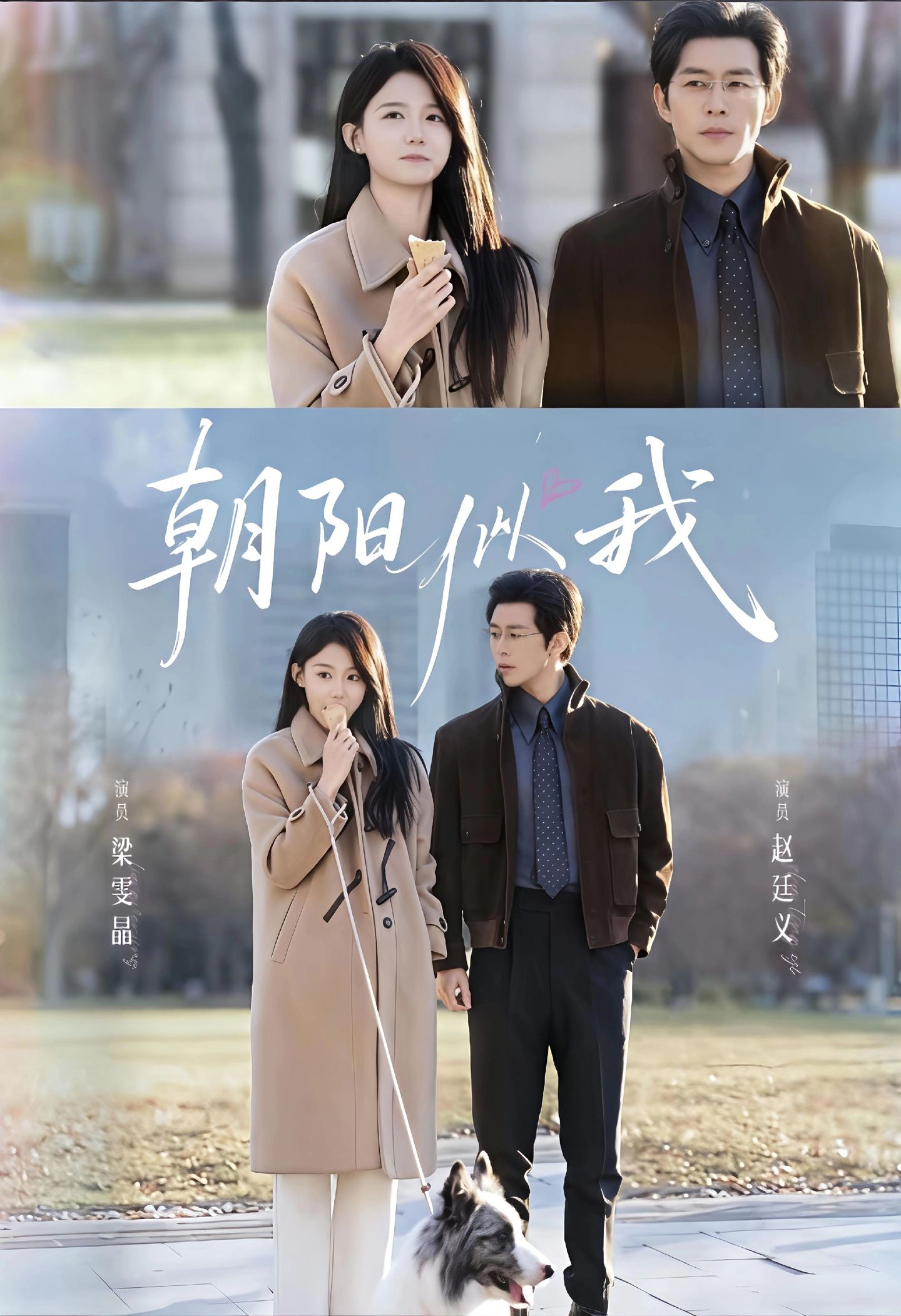 朝陽(yáng)似我(全集)